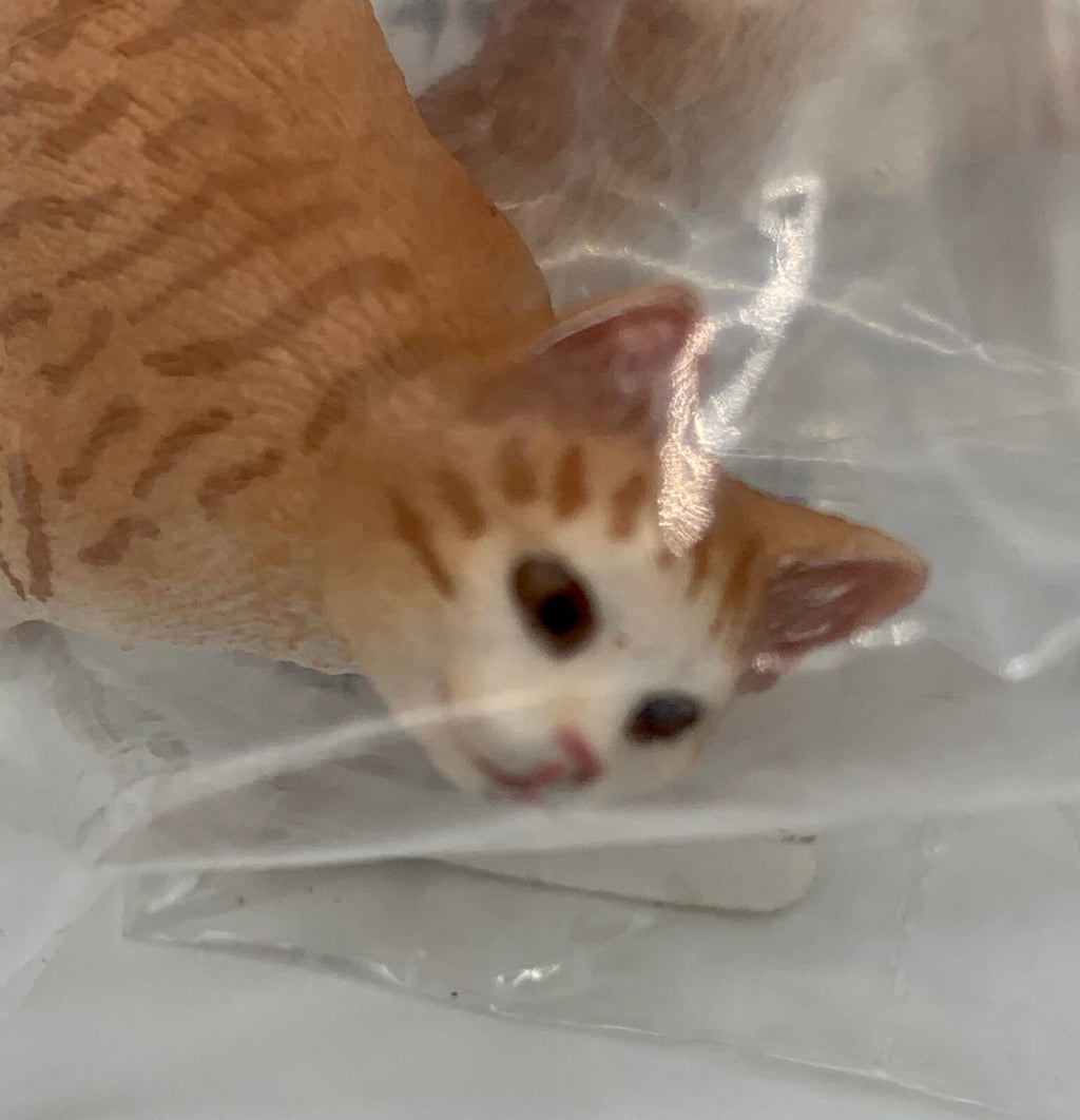 Farm World Cat Collectible Figure Schleich 
