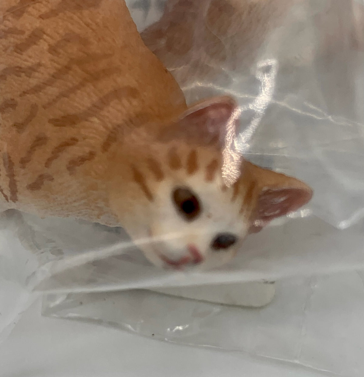 Farm World Cat Collectible Figure Schleich 