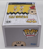Peanuts Charlie Brown with Kite Pop #1678 Funko Pop Television 2024